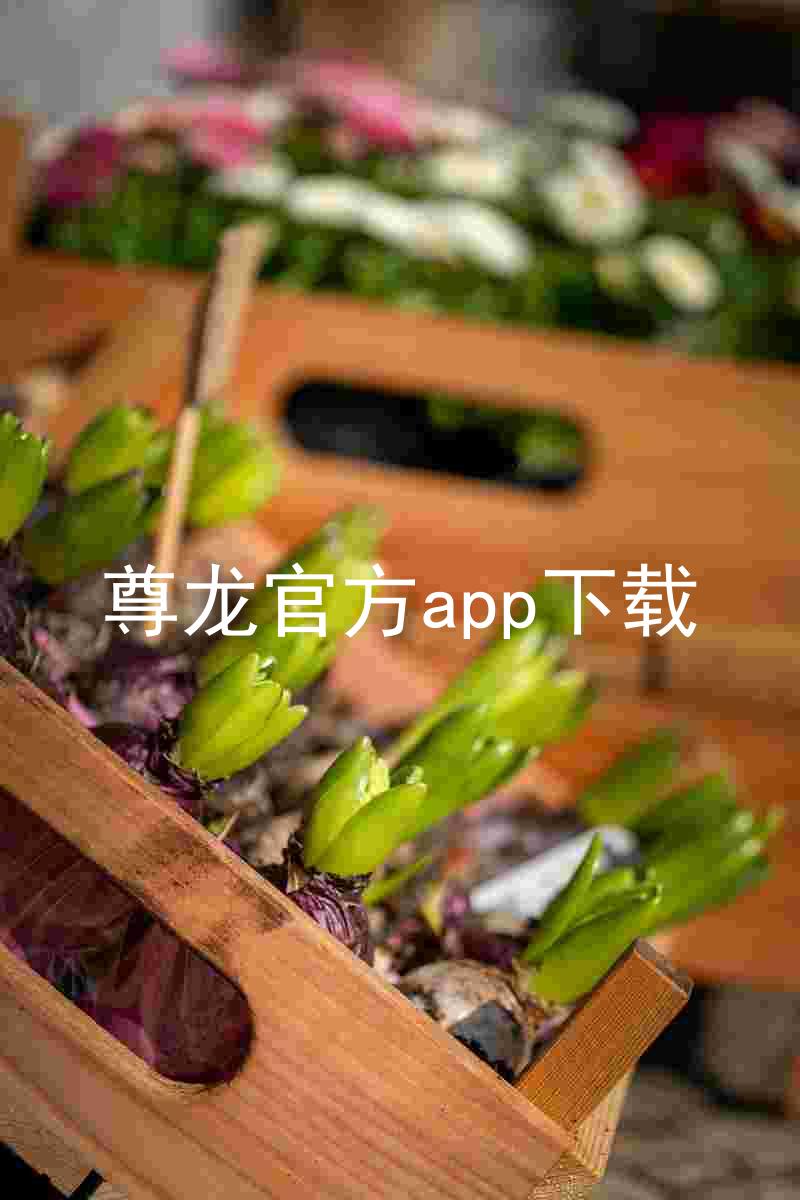 尊龙官方app下载