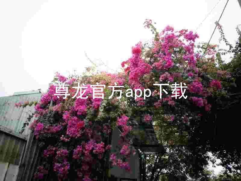 尊龙官方app下载